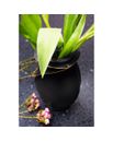 mount-vase-7543qg-5733.jpg