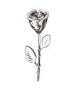 ornamente-blumen-h-15-stahl-standard-0933.jpg