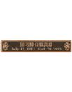 plaque-en-bronze-h-3x18-7788-2661.jpg