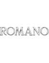 romano-stainless-steel-single-letters-l-romano-ix.jpg