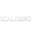 scritta-scaligero-b-carrara-l-scaligero-l.jpg