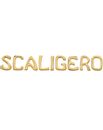 scritta-scaligero-dorato-l-scaligero-u.jpg