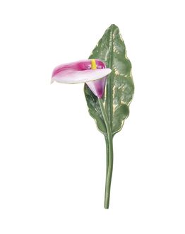 calla-h-24-5-weiss-fucsia-green-opaq-761601cpo.jpg
