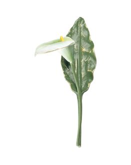 calla-h-24-5-weiss-gelp-gruen-opaq-761601cwo.jpg