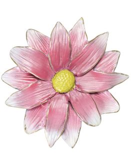 daisy-9-cm-pink-white-yellow-opaq-5416cpo.jpg