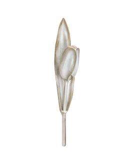 f-c-tulip-h-24-5-q-white-5292.jpg