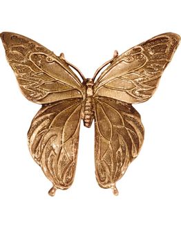 farfalla-grande-7-5-x-8-bronzo-7618.jpg
