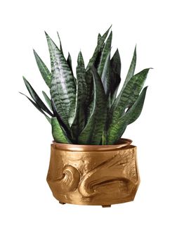 flower-bowl-tedesche-base-mounted-h-18x28x28-2234r.jpg