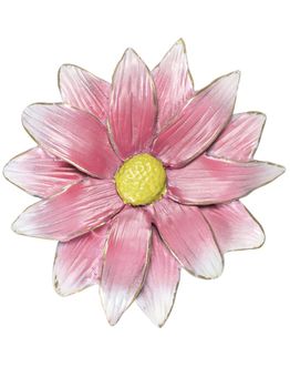 ganseblumchen-9cm-rose-weiss-gelb-opaq-5416cpo.jpg
