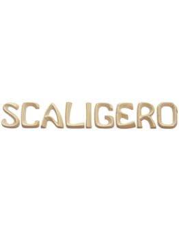 scaligero-new-botticino-lettere-sciolte-l-scaligero-j.jpg