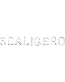 scritta-porcellana-scaligero-s-perni-l-scaligerop.jpg