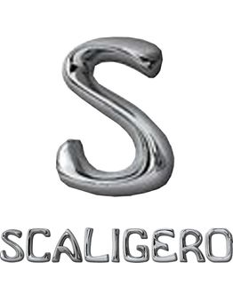scritta-scaligero-acciaio-l-scaligero-ix.jpg