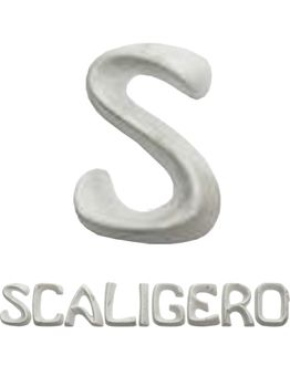 scritta-scaligero-b-carrara-l-scaligero-l.jpg
