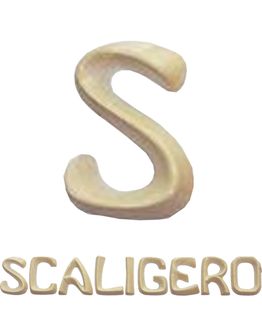 scritta-scaligero-new-bott-l-scaligero-j.jpg