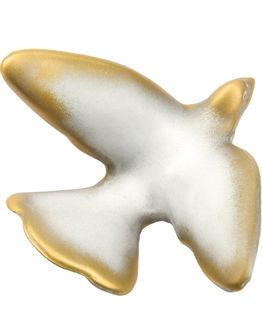 taubenanwendung-bianco-5264.jpg