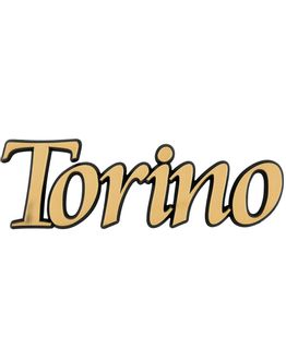 torino-lettres-decoupees-l-torino.jpg