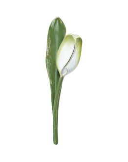 tulpe-auf-blatt-h-25-licht-gruen-opaq-7831cwo.jpg