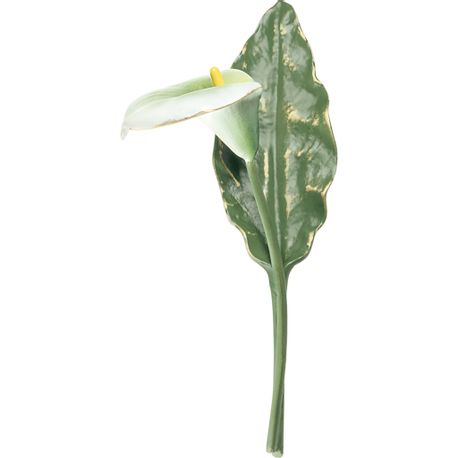 calla-h-24-5-weiss-gelp-gruen-opaq-761601cwo.jpg