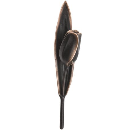 f-c-tulip-h-24-5-q-grey-5291.jpg