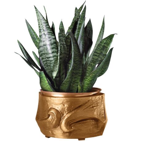 flower-bowl-tedesche-base-mounted-h-18x28x28-2234r.jpg