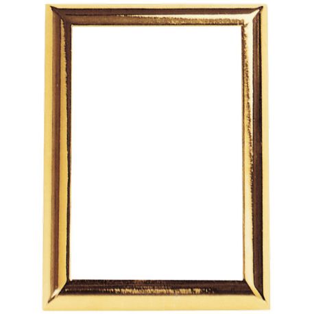 frame-rectangular-wall-mt-h-12x9-golden-1381u.jpg