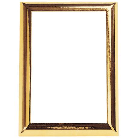 frame-rectangular-wall-mt-h-4-5-8-x3-1-2-golden-1381u.jpg