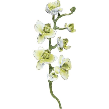 orchidee-h16-weiss-gruen-opaq-5340cwo.jpg
