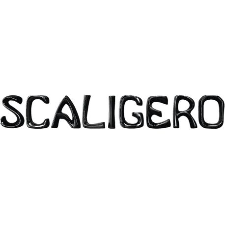 scaligero-nerolucido-lettere-sciolte-l-scaligero-nl.jpg