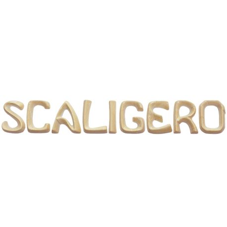 scaligero-new-botticino-lettere-sciolte-l-scaligero-j.jpg