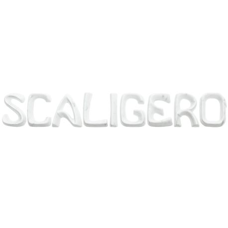 scritta-scaligero-b-carrara-l-scaligero-l.jpg