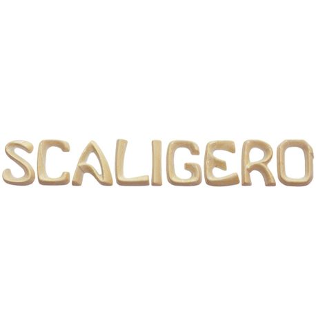 scritta-scaligero-new-bott-l-scaligero-j.jpg