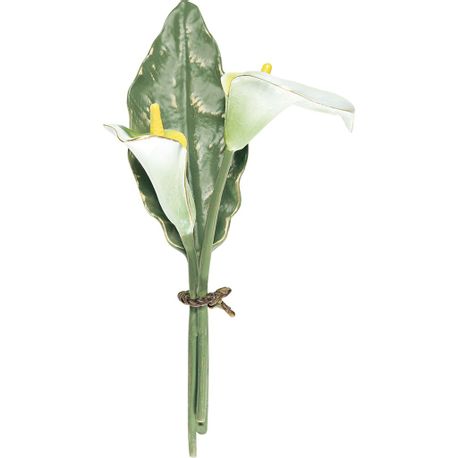zwei-callas-h-26-weiss-gelb-gruen-opaq-761702cwo.jpg
